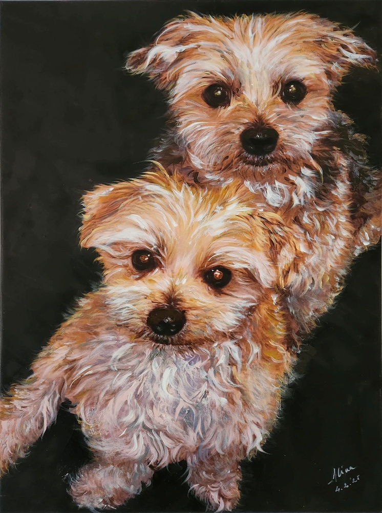 ArteDiAlina.com painting: Bailey and Pullo